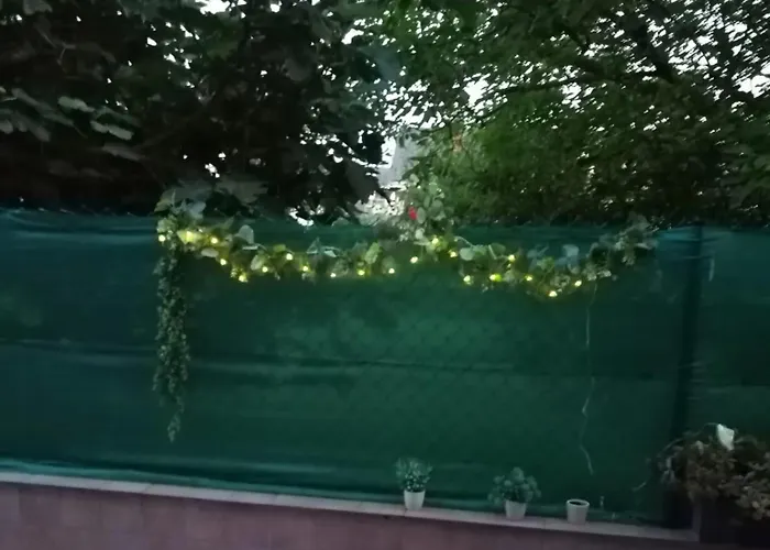 La Solana De Boo